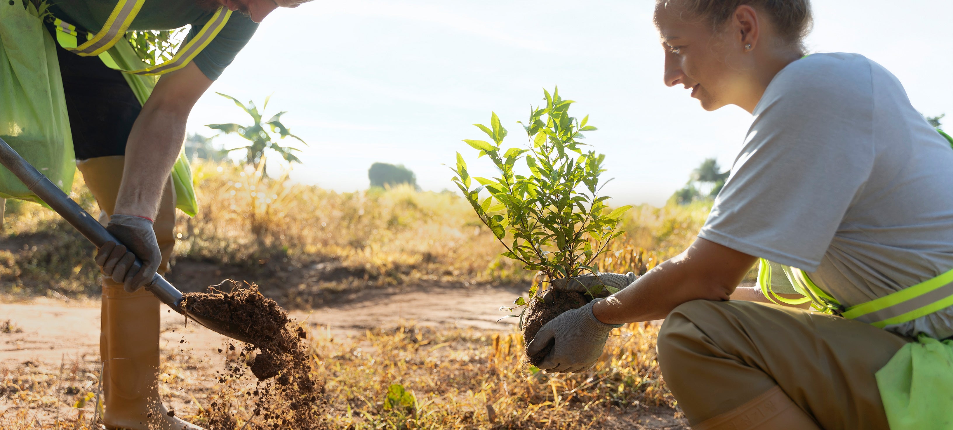 Nachhaltigkeit im Fokus: Bei jeder Bestellung wird ein Baum gepflanzt